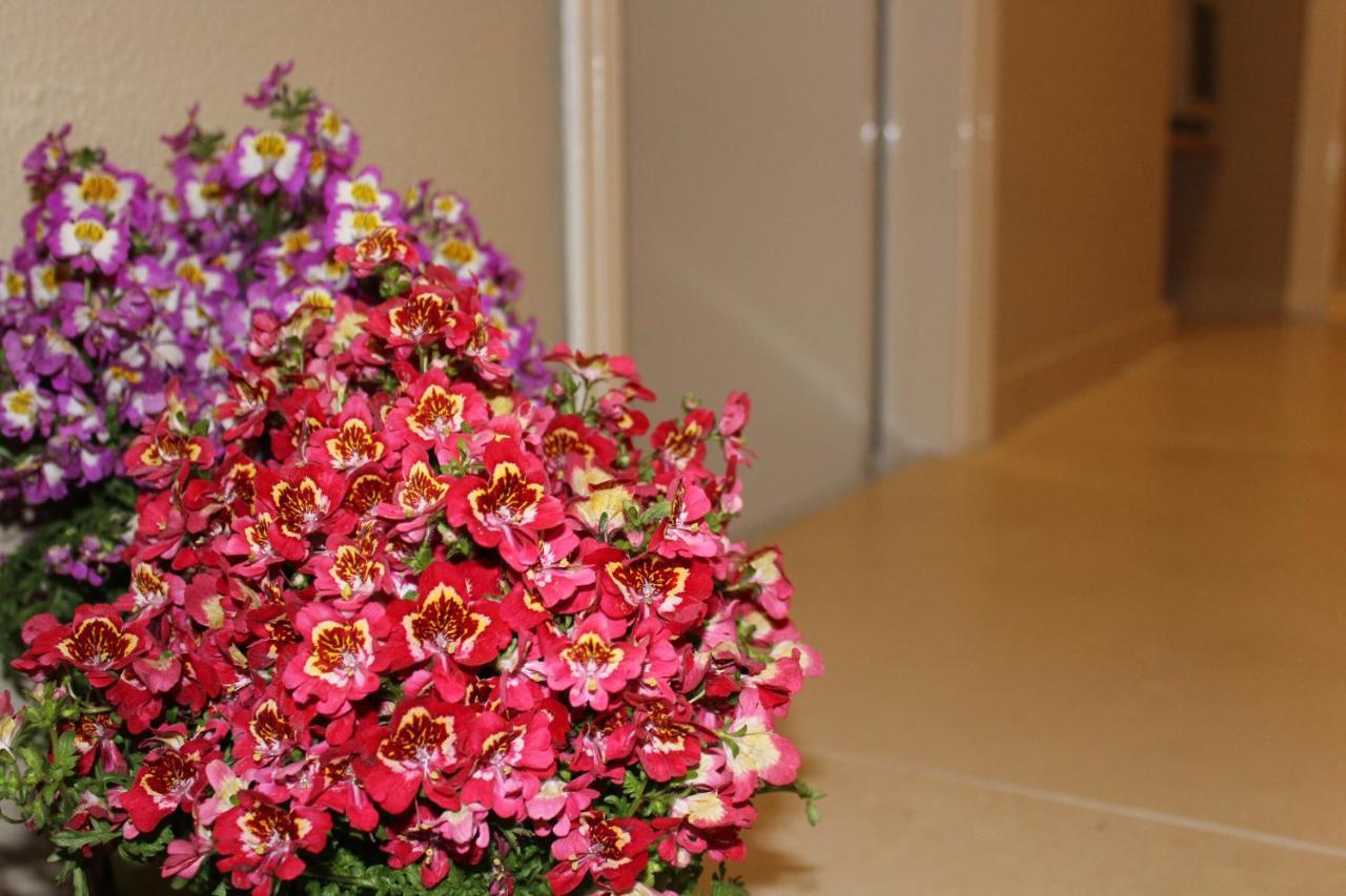 كاتانيا Harmony Rooms المظهر الخارجي الصورة